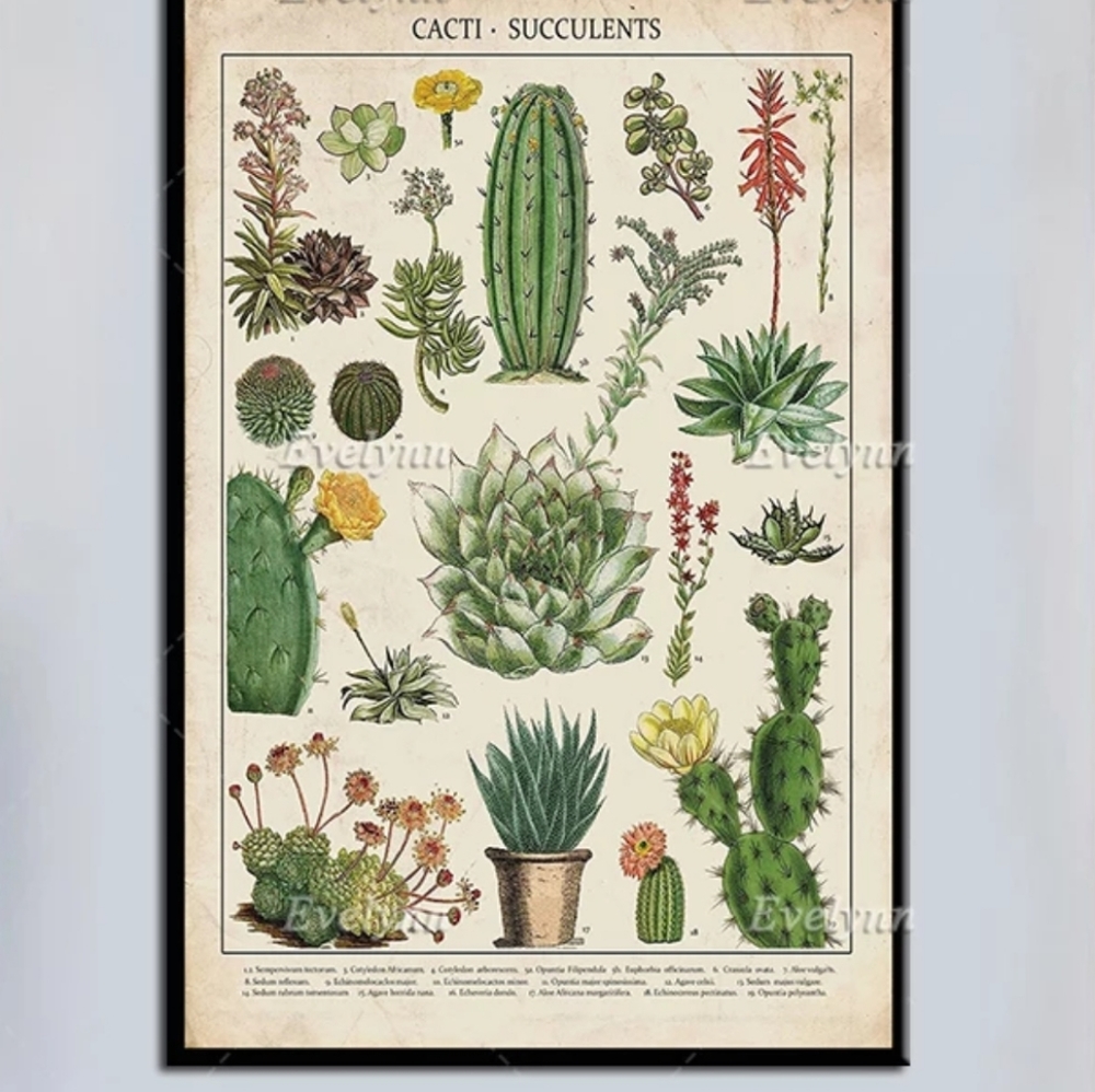 Cactus and succulent print A4